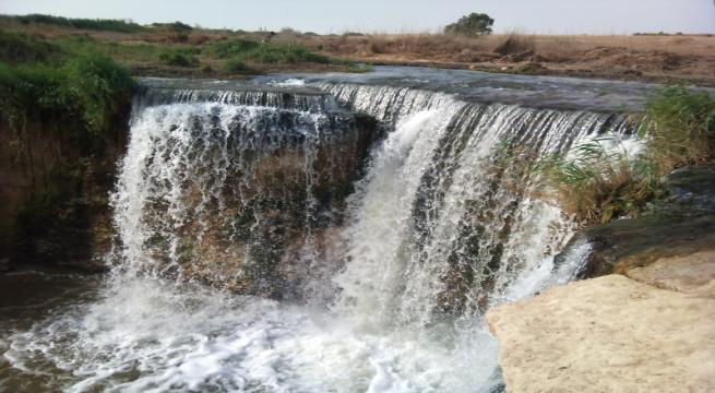 Day Tour to El Fayoum from Cairo